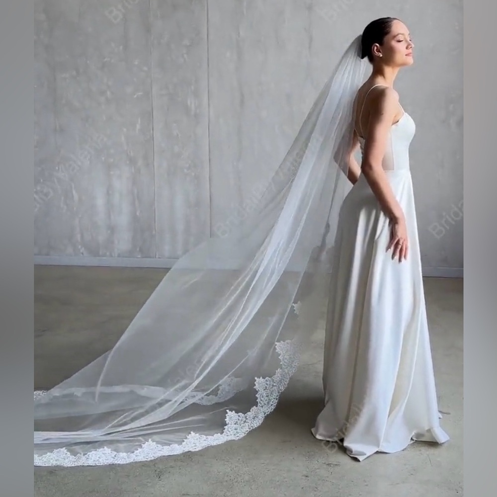 Elegant White veil